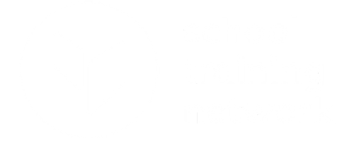 School Training Network